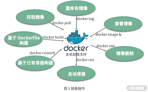 Docker搭建LNMP环境如何实现