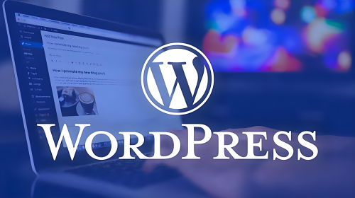 WordPress出现错误怎么办：一步步解决常见问题