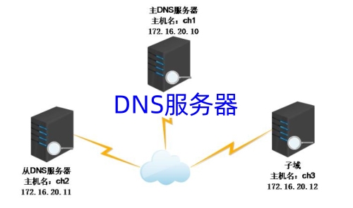 DNS服务器